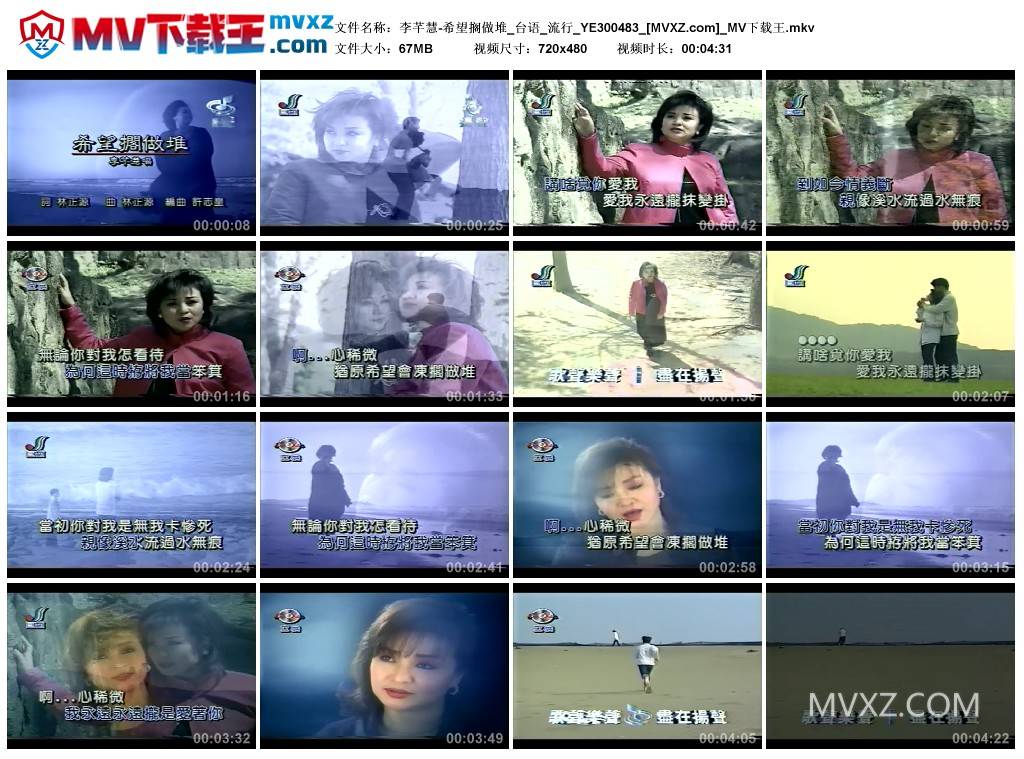 李芊慧-希望搁做堆_台语_流行_YE300483